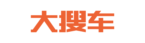 大搜车